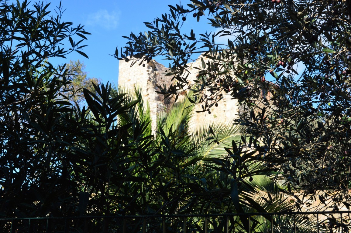 ROCCA 4